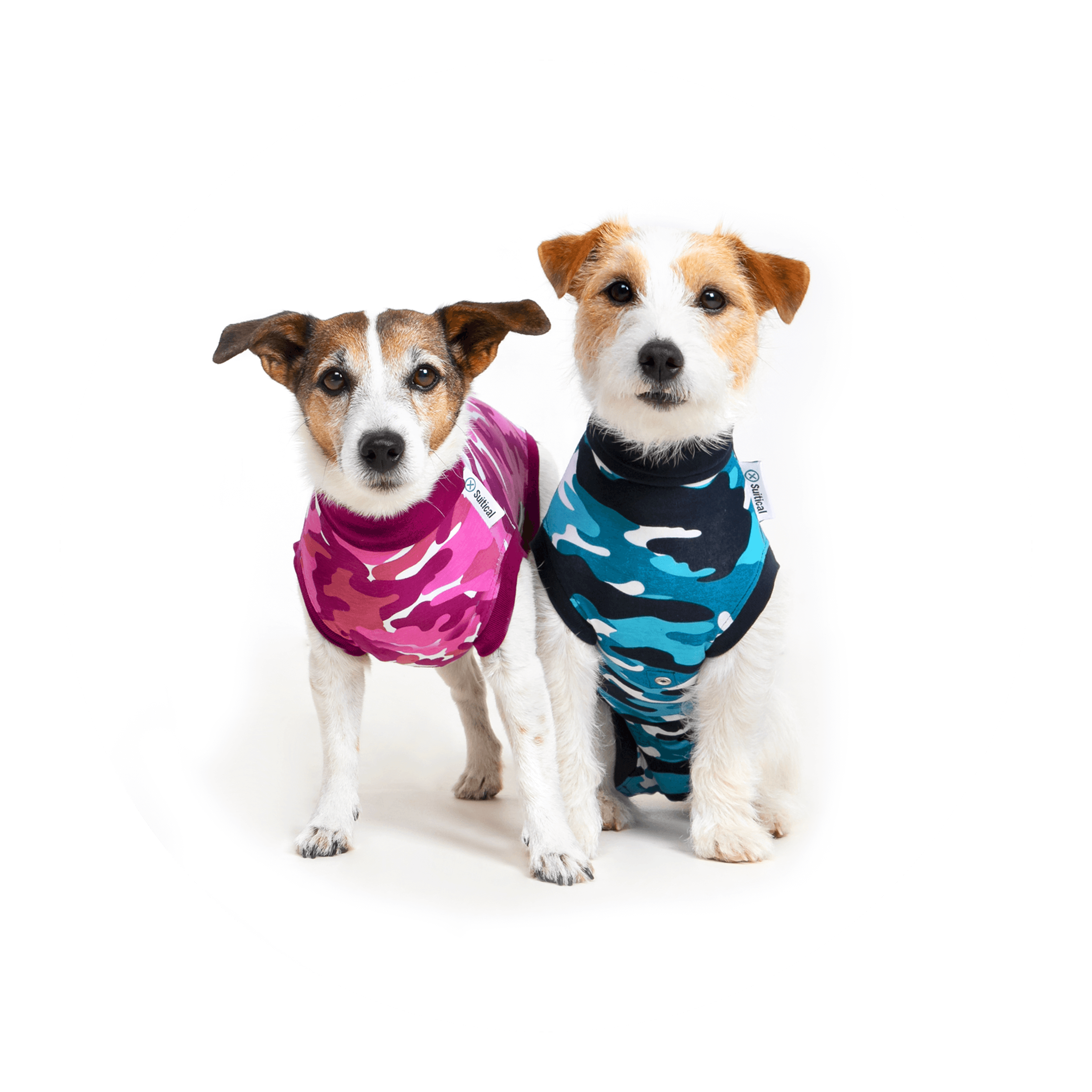 Small Dog Clothes Pet Dog Pajamas 4 Legged Puppy Jumpsuit Surgical Recovery Suit Abdominal Wounds Protector Soft Cotton Breathable Comfortable for Small Dog Puppy Boys Blue, XS 