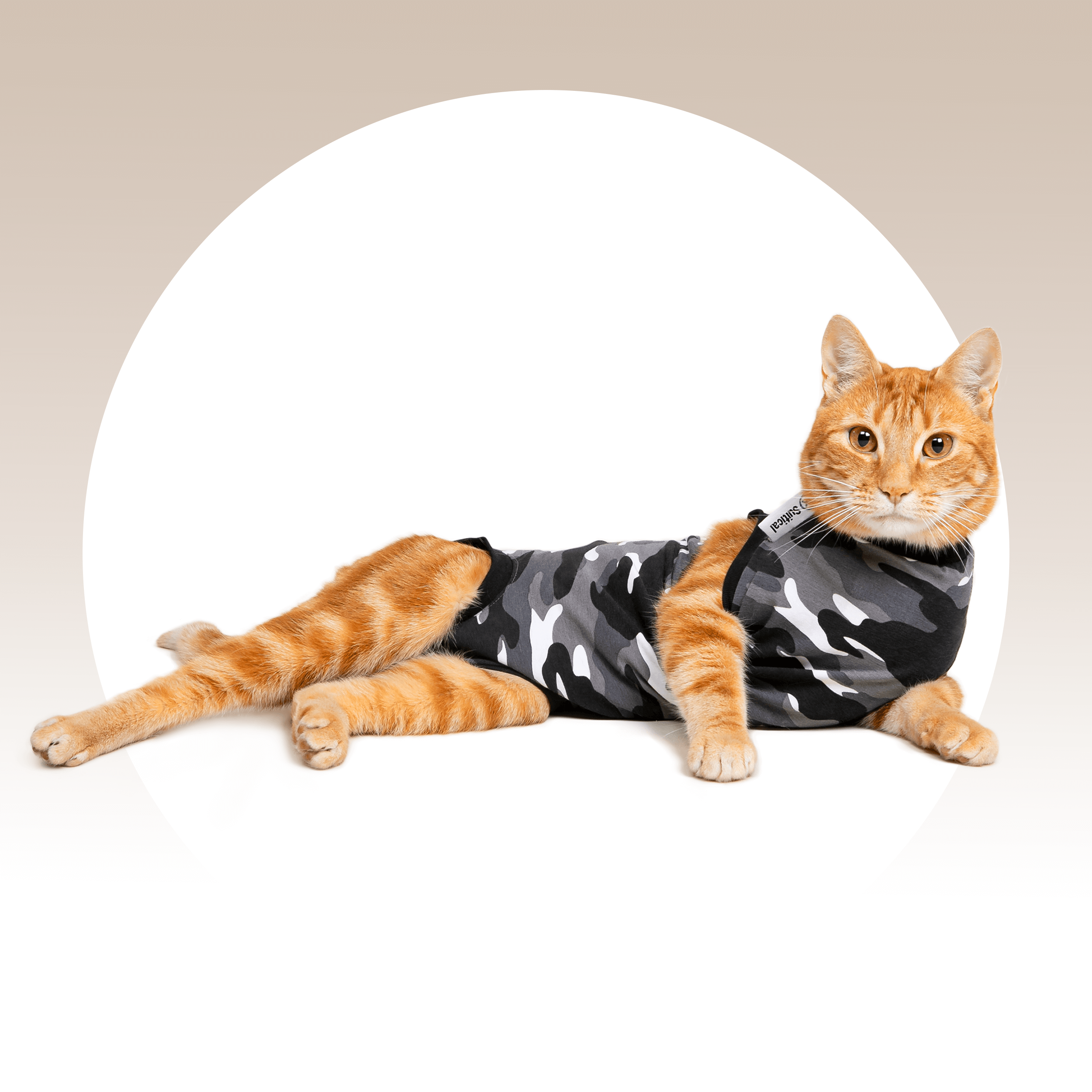 Suitical Recovery Suit Cat - Black Camo - Bark, Bath & Beyond Pet Boutique