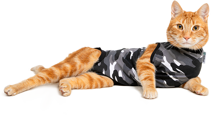 Non-Lick Pet Body Suit for Cats Dogs for Abdominal Wounds Skin Diseases MORVIGIVE Cat Recovery Suit After Surgery Wear Surgical Neuter Spay Kitten Recovery Shirt E-Collar Bandages Alternative 