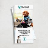 B2C Flyer - Deutsch