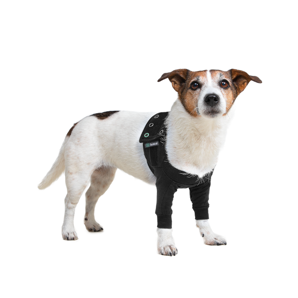 RECOVERY DOUBLE SLEEVES® CHIEN