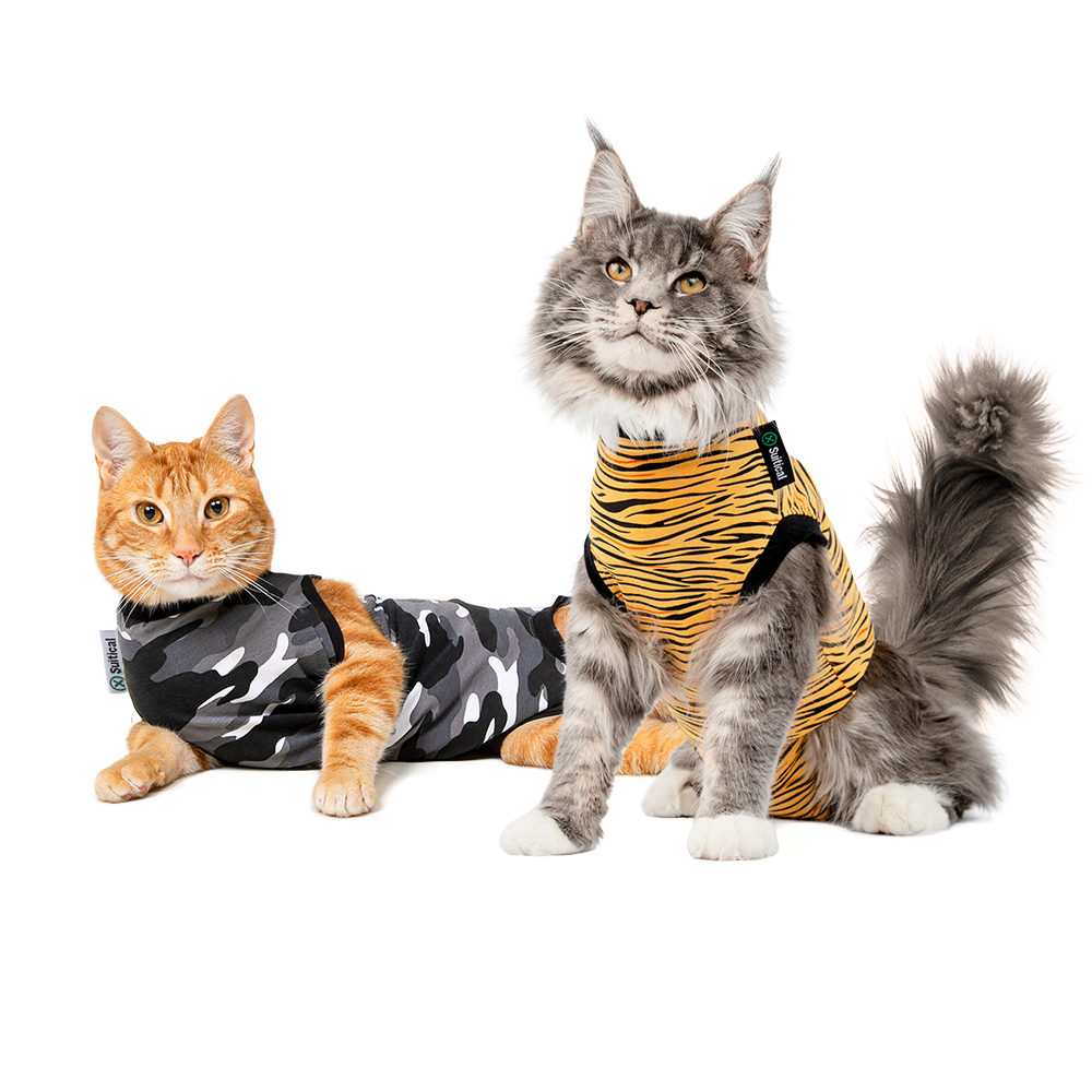Professional Recovery Suit for Cats After Surgery Pet Cone E-Collar Alternative for Male-Female Cats Kitten Onesie Anti-Biting Licking Recovery Vest for Abdominal/Wound Healing/Skin Disease/Weaning 