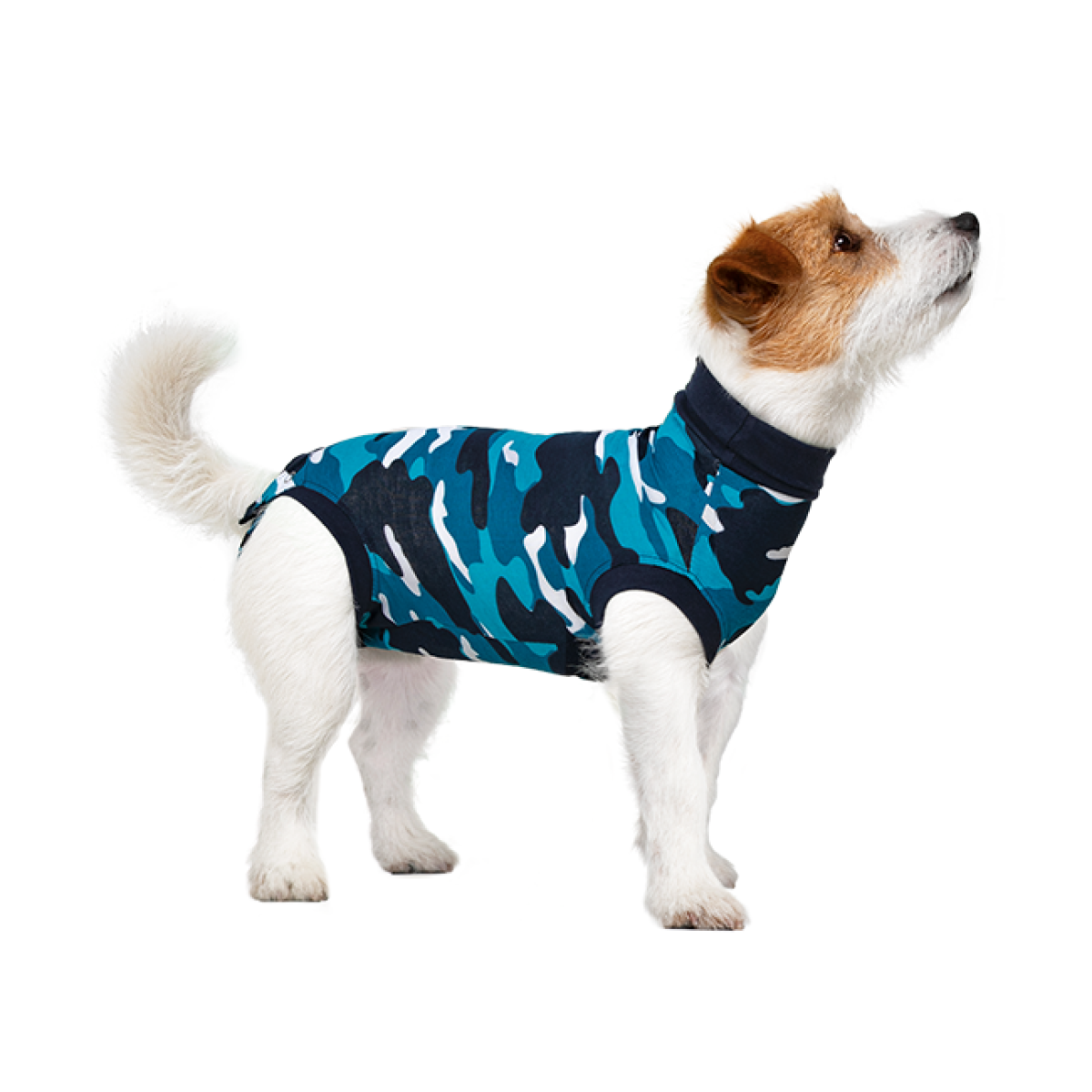 Pet T-Shirt After Surgery Wear for Dogs Dog Professional Recovery Suit Comfortable E Collar Alternative Prevent Licking Onesies Pet Surgery Recovery Suit Kuoser Surgical Recovery Suit for Dogs Cats 