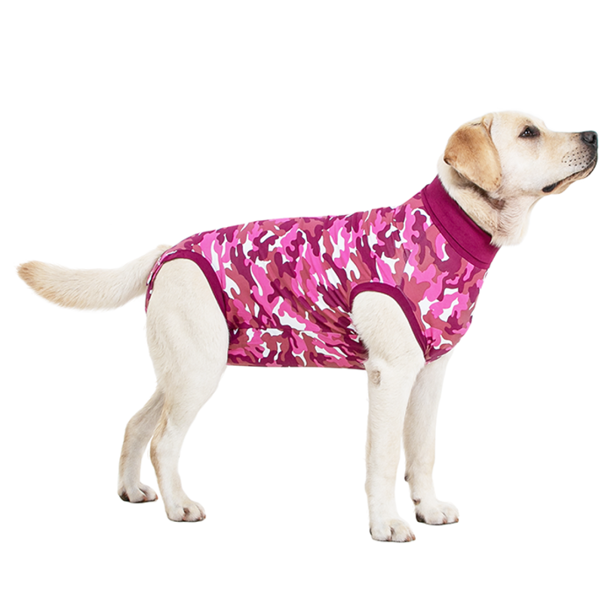 SAWMONG Recovery Suit for Dog Pet Recovery Suit After Surgery Recovery Shirt Surgical Snugly Suit Dog Onesie for Male Female Dog Bodysuit Substitute E-Collar&Cone 