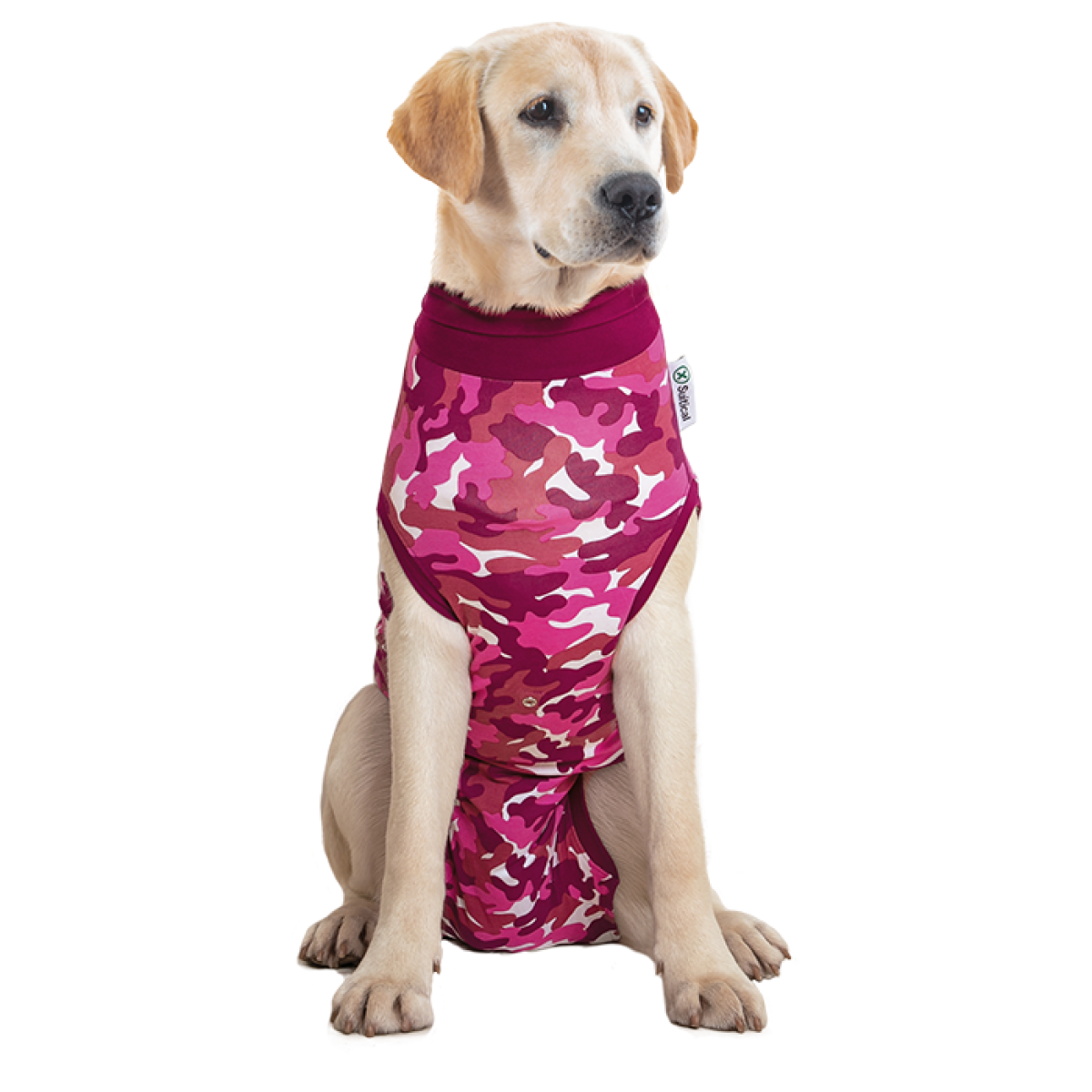 Suitical Recovery Suit for Dogs, Spay and Neutering Dog Surgery.Recovery  Suits.
