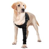 Recovery Sleeve® Chien